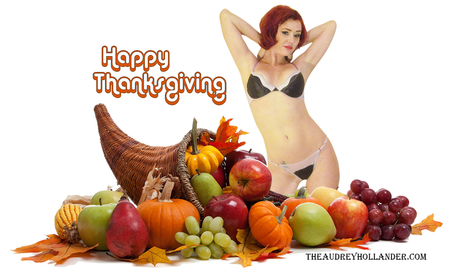 happy thanksgiving 2015