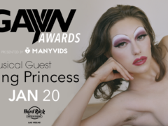 2020 GayVN Awards