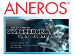 Cybersocket Web Awards