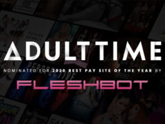 Fleshbot Awards